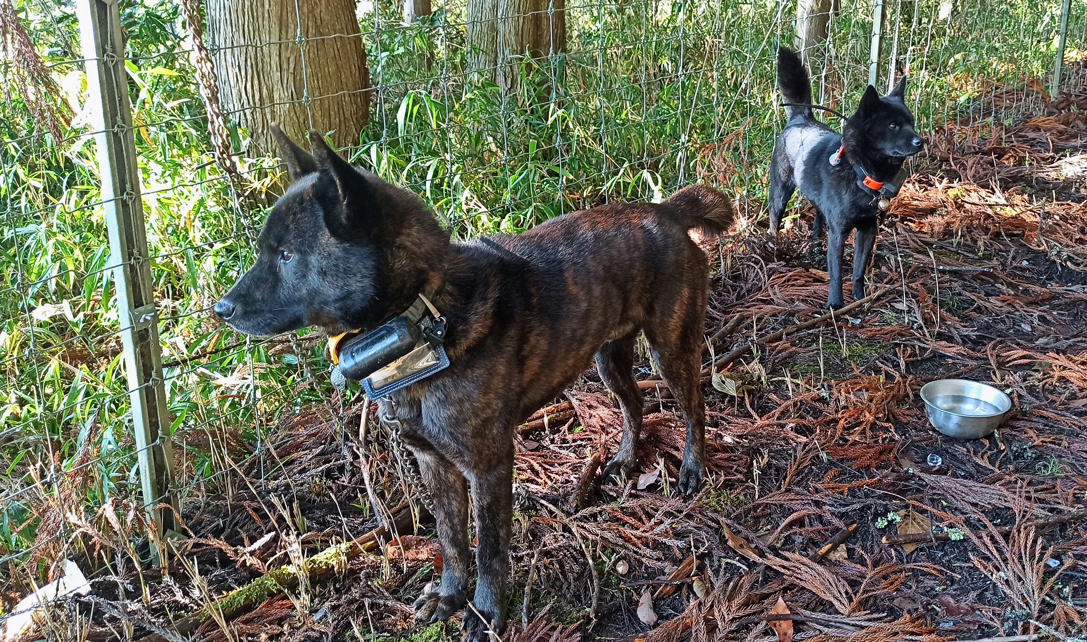 Hunting team communication equipment