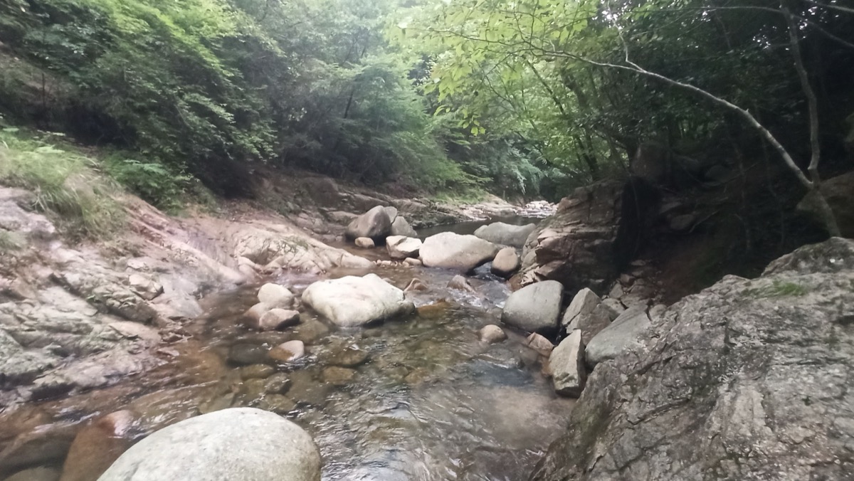 A rocky river gorge in a forested mountain valley